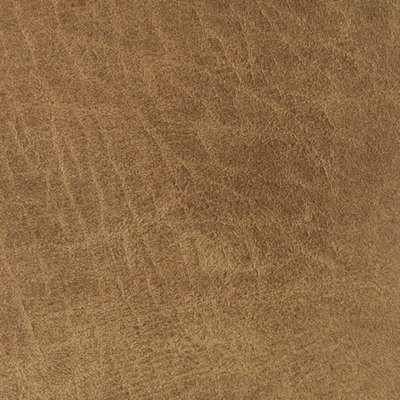 Cortnie Pillow - Image 6