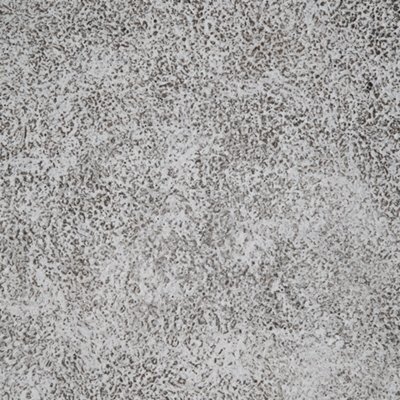 Moises Bowl - Image 7