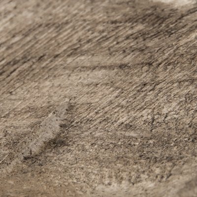 Dashburn Sculpture - Image 7