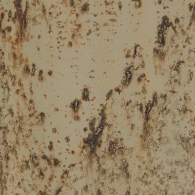Plawite Vase - Image 5