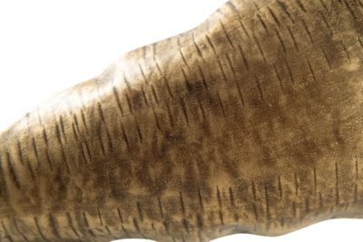 Wystenburg Tray - Image 5