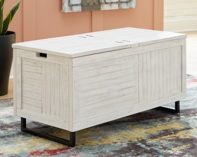 Coltport Storage Trunk - Image 3