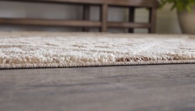 Odedale 8' x 10' Rug - Image 4