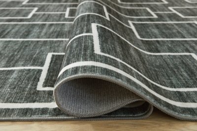 Elderland Washable Medium Rug - Image 5