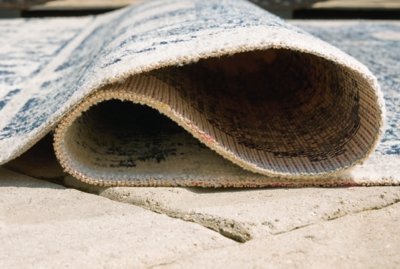 Daddridge 5' x 7' Rug - Image 5