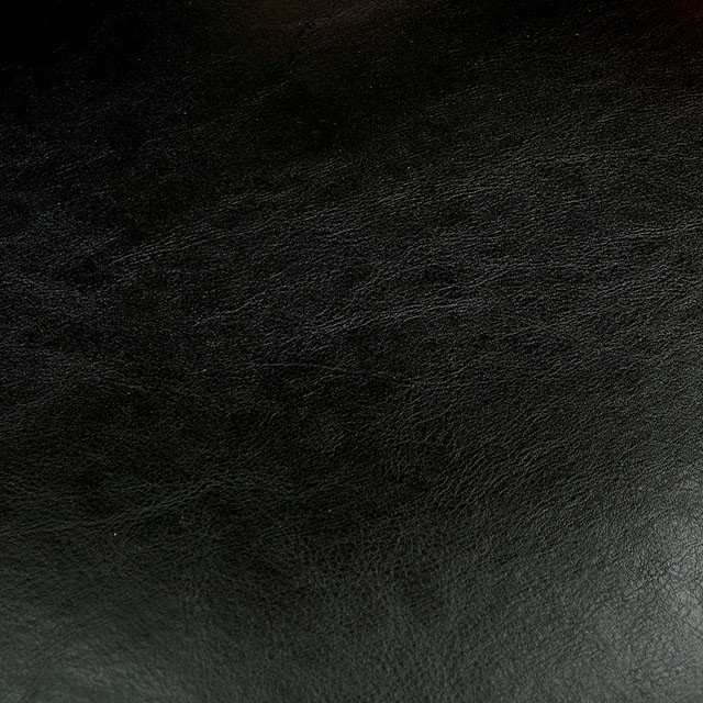 Shirley - Image 3