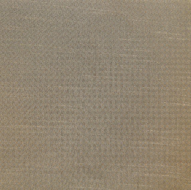 Echo - Image 6