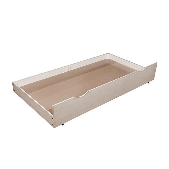 Brogan Trundle - Image 4