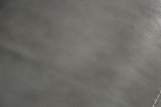 Hestia - Image 3