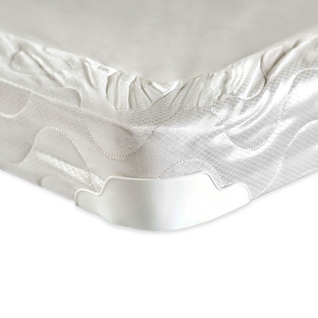 Bird Of Paradise 4" Queen-Size Foundation - Image 4