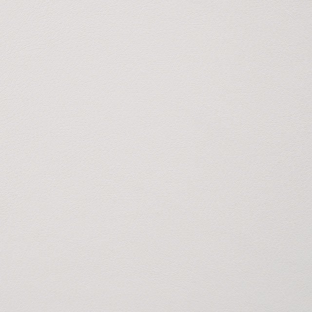 Alisha - Image 4