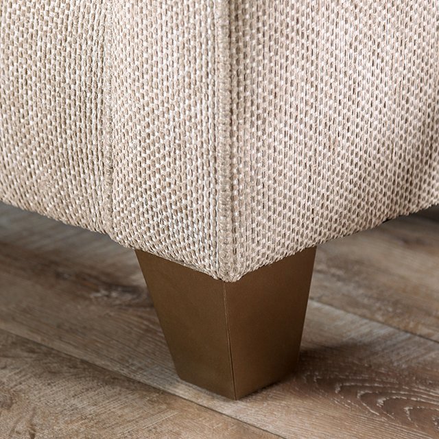 Catarina - Image 4