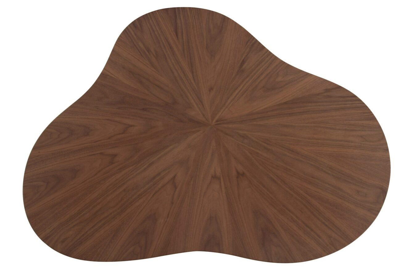 Modrest Larch - Modern Walnut Free Form Coffee Table - Image 2