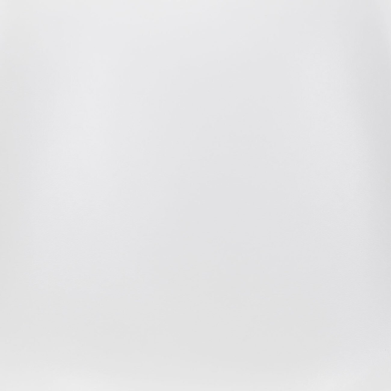 Ace Dining Chair (Set of 2) White & Silver - Image 9