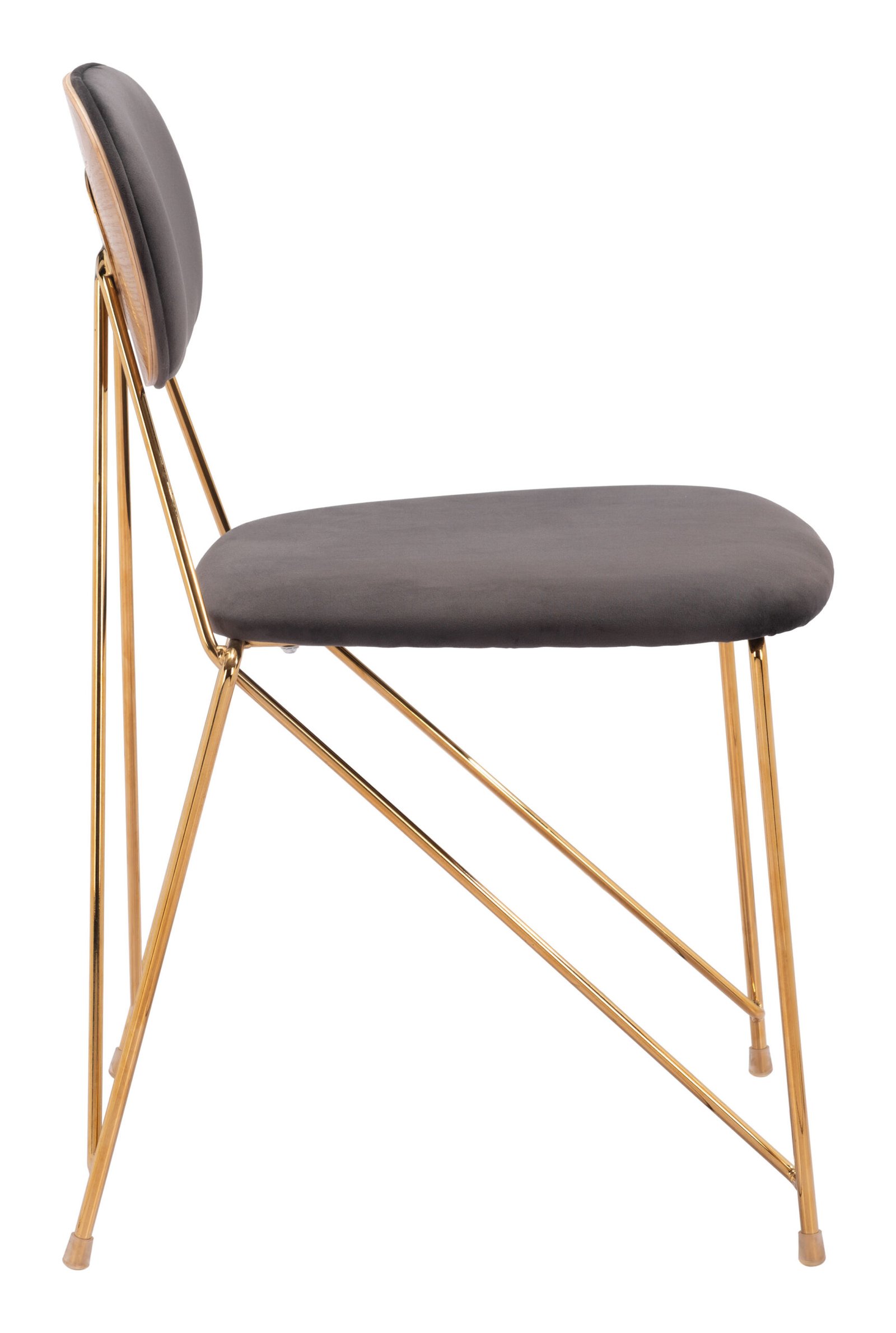 Georges Dining Chair (Set of 2) Gray & Gold - Image 4