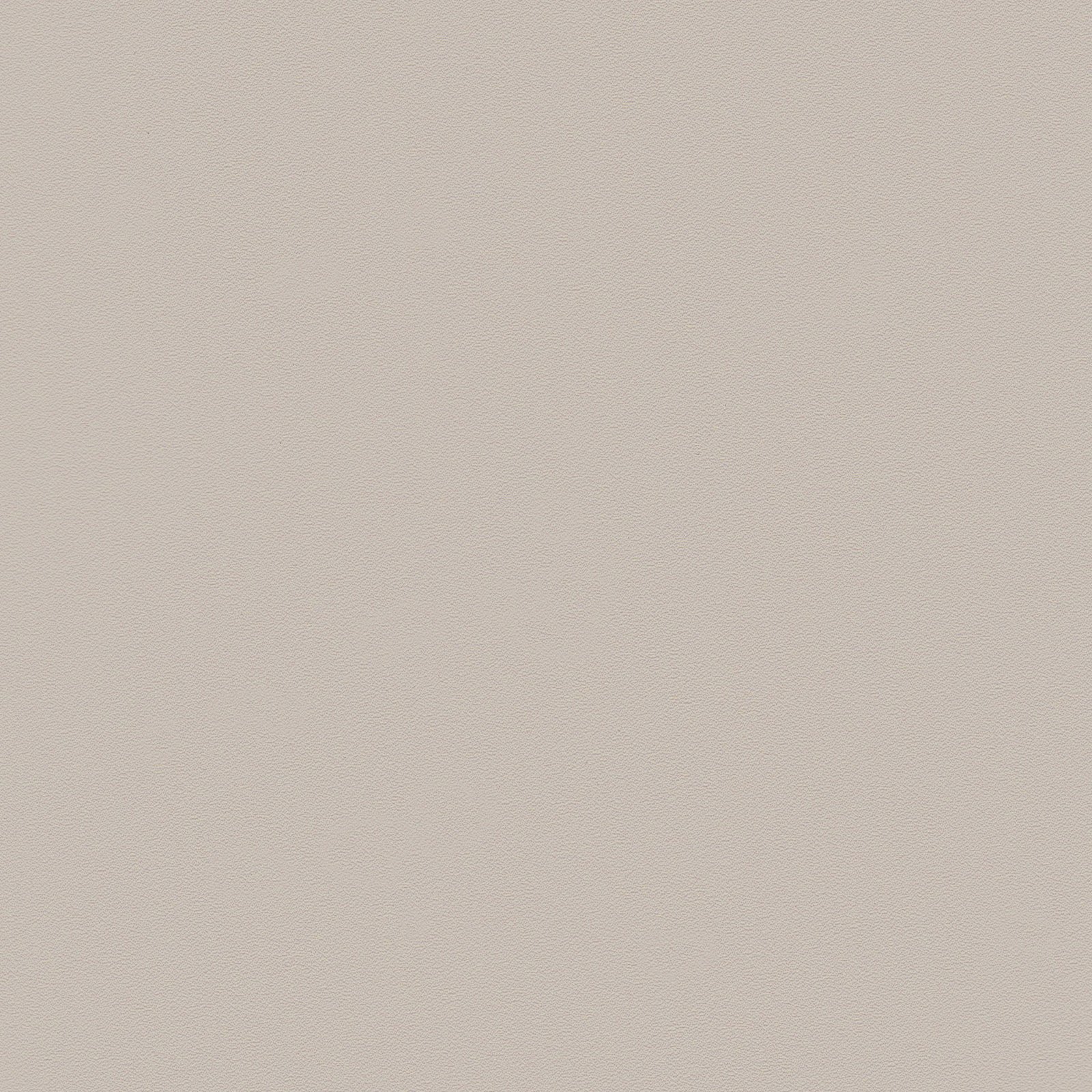 Zeal Dining Chair (Set of 4) Light Gray - Image 11