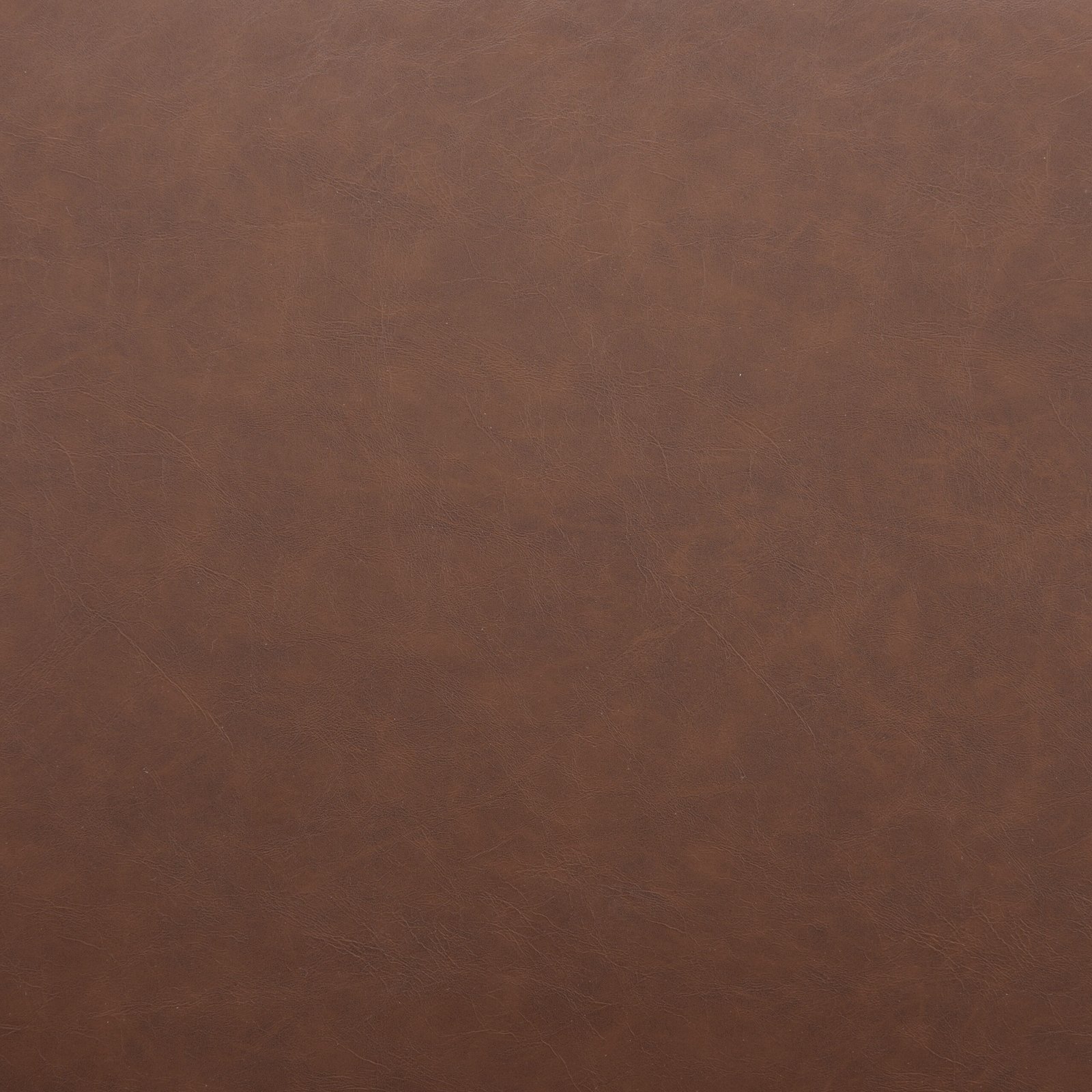 Pola Dining Chair (Set of 2) Brown - Image 7