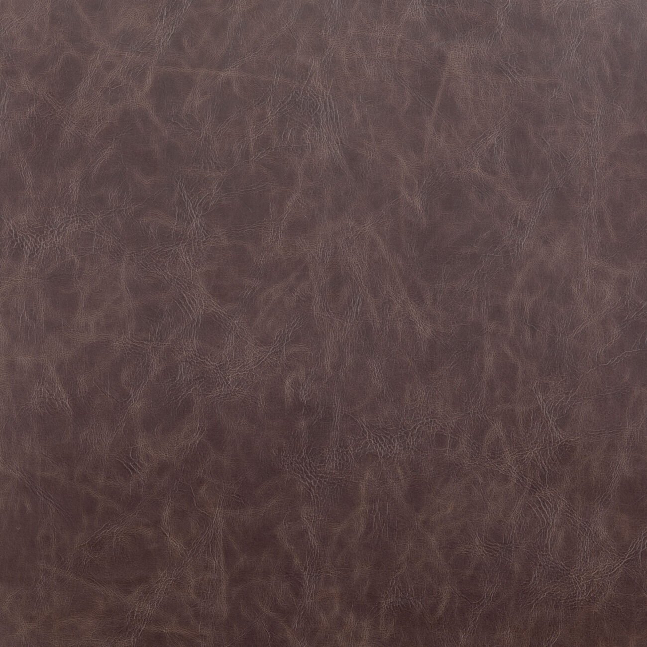Byron Dining Chair (Set of 2) Brown - Image 8