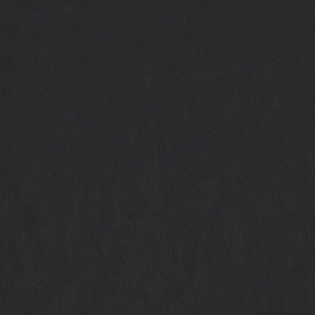 Ali Office Chair Black - Image 8