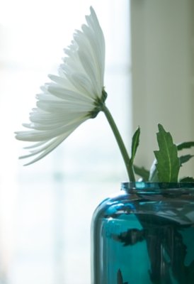 Inisland Vase - Image 4