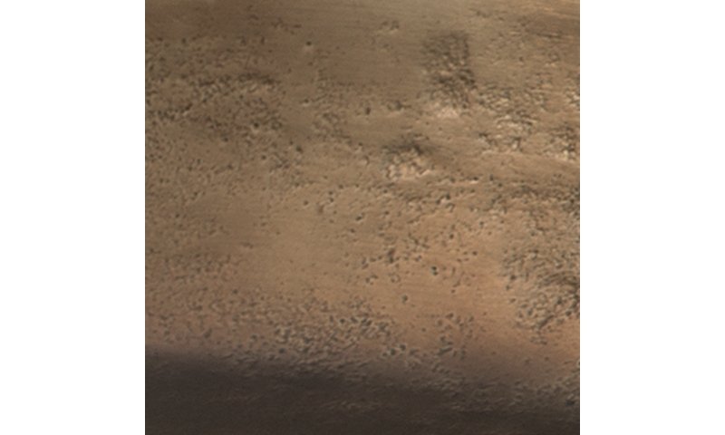 Wallmen Tray - Image 6