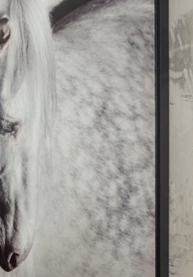 Archerwick Wall Art - Image 6