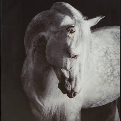 Archerwick Wall Art - Image 7