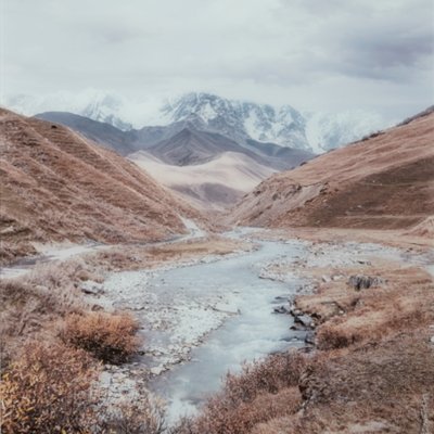 Darinby Wall Art - Image 7