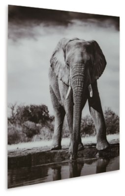 Glinyard Wall Art - Image 4