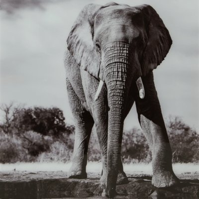 Glinyard Wall Art - Image 7