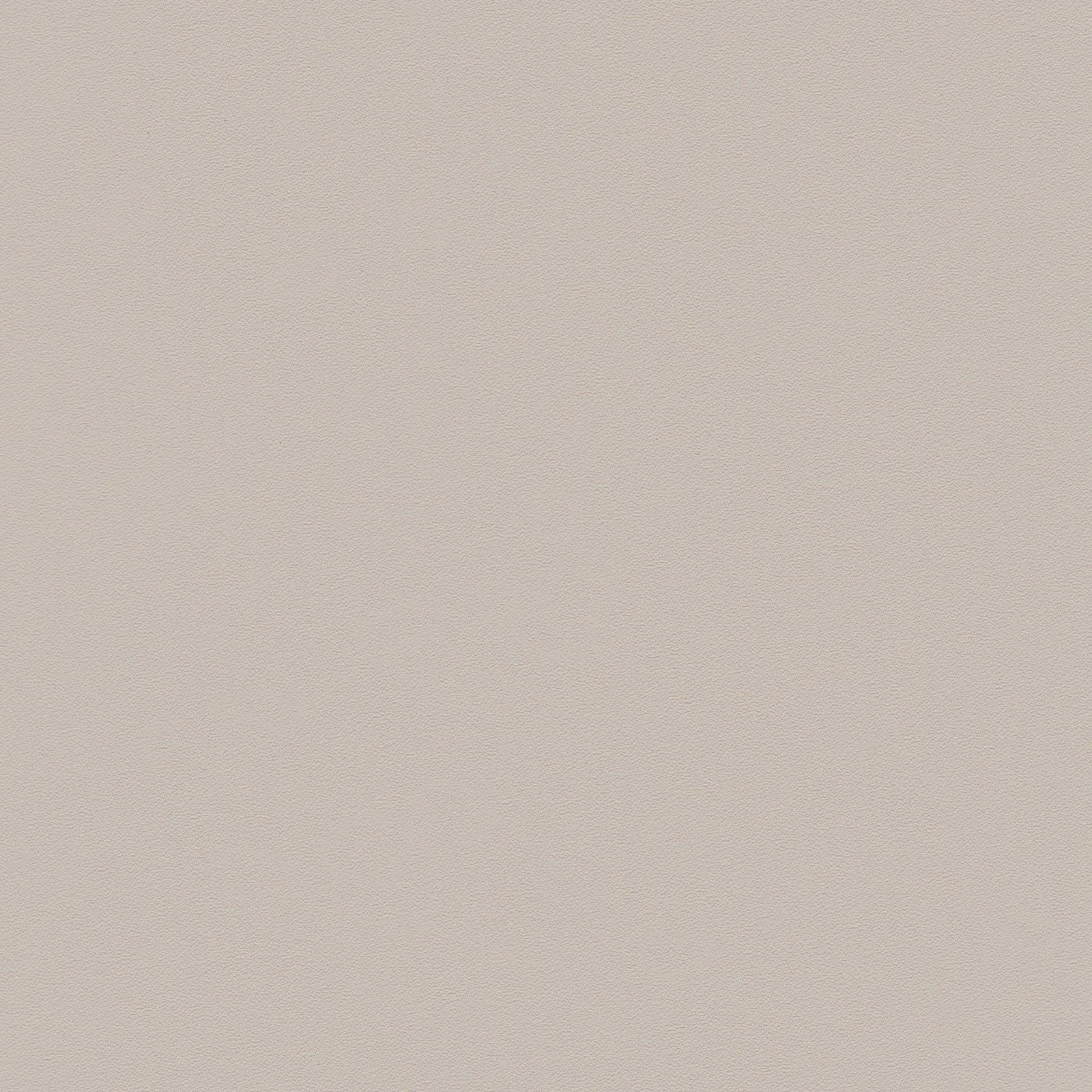 Zeal Barstool (Set of 4) Light Gray - Image 8