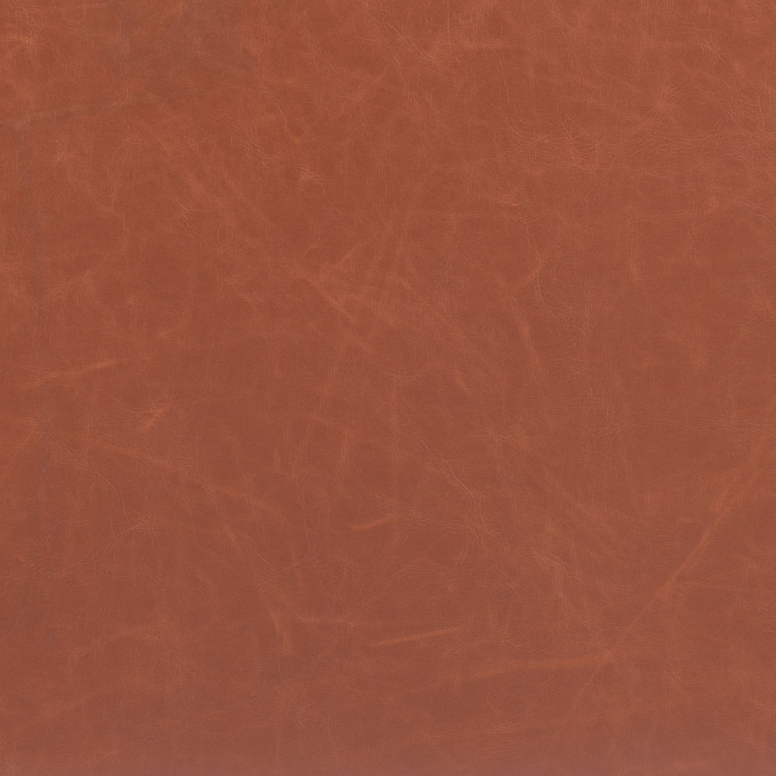 Horbat Dining Chair Brown - Image 7