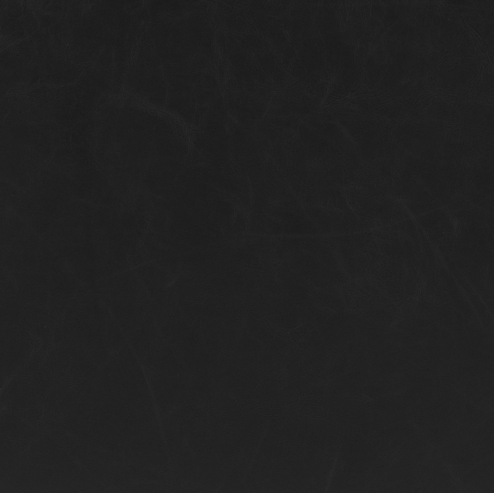 Pago Dining Chair (Set of 2) Black - Image 9