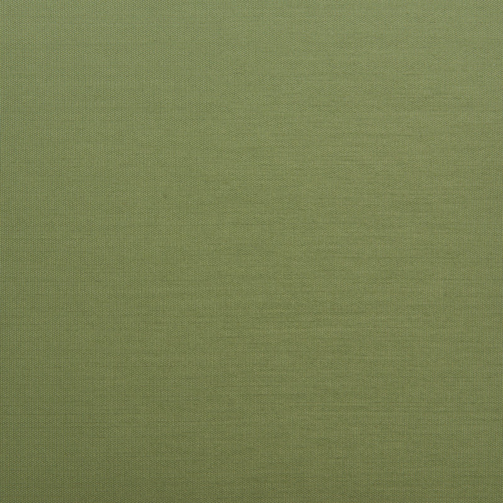 Rio Dining Chair (Set of 2) Green - Image 7