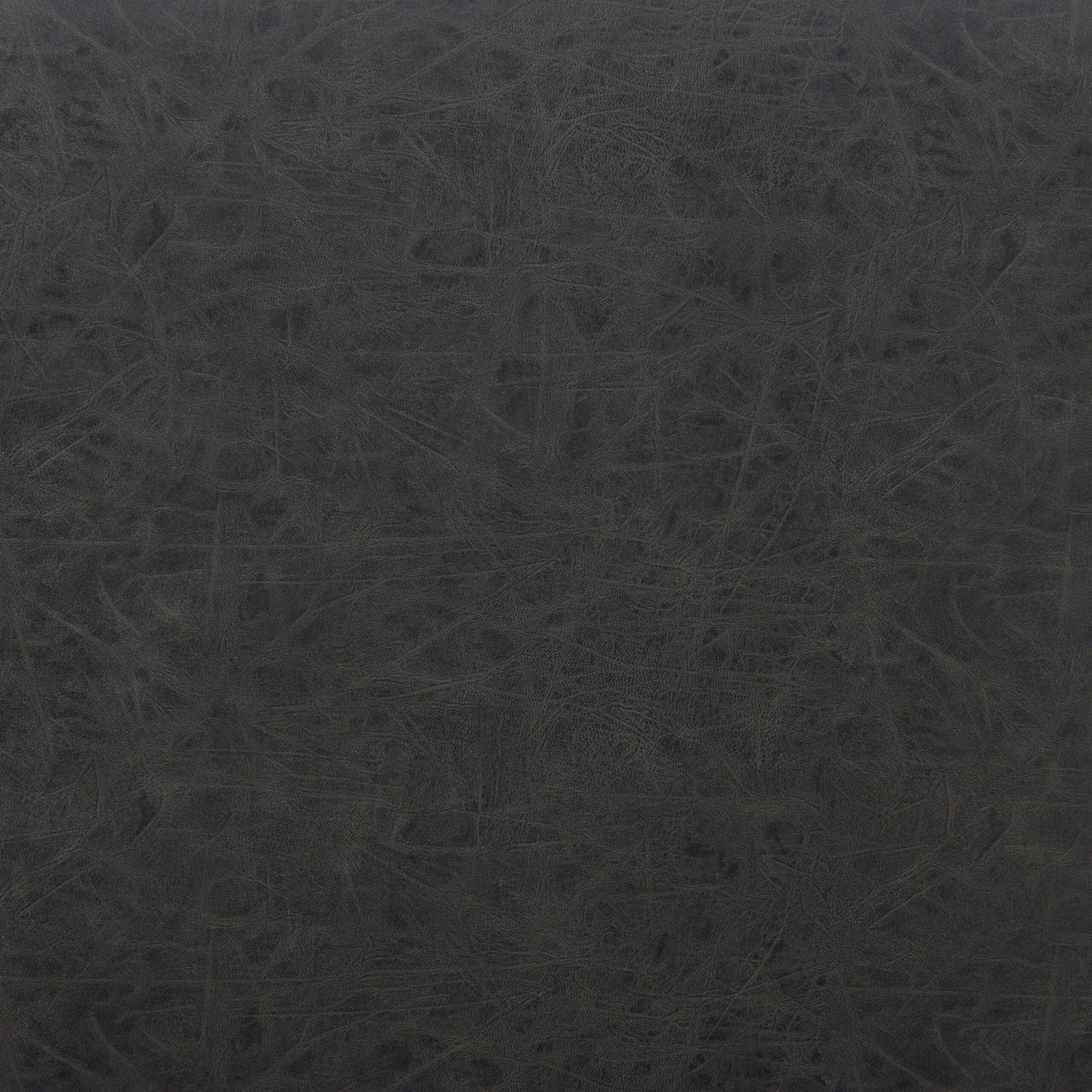 Charon Dining Chair (Set of 2) Vintage Black - Image 10