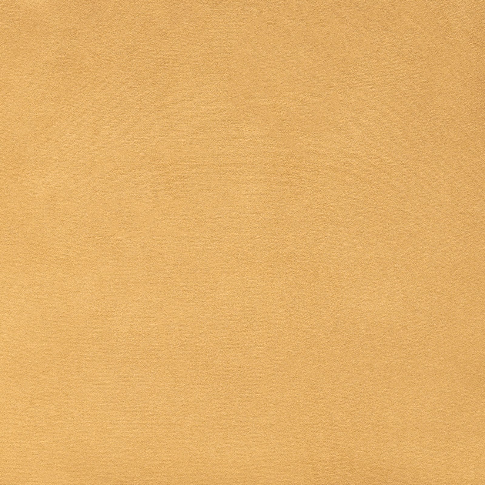 Tammy Dining Chair (Set of 2) Yellow - Image 8