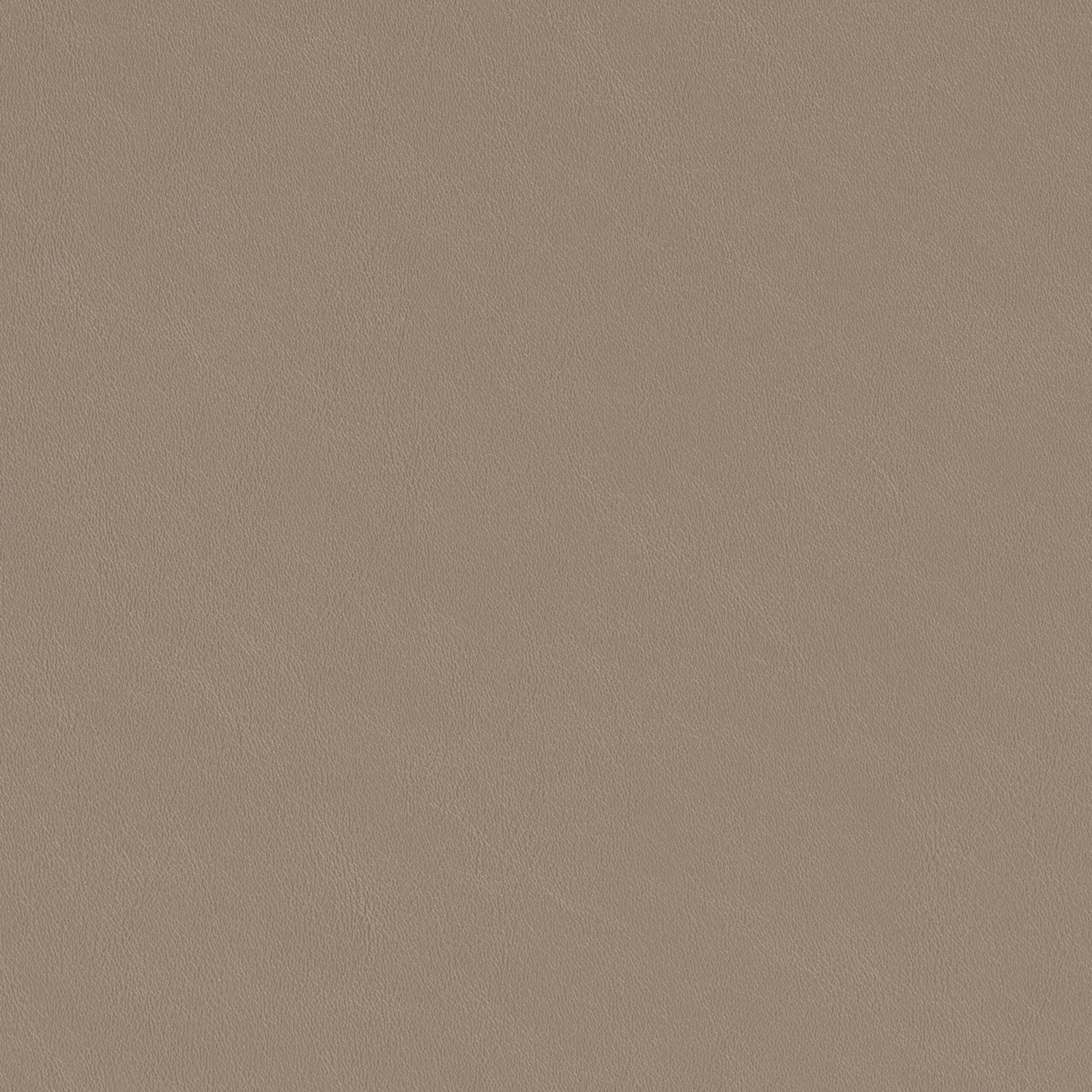 Ruge Dining Chair (Set of 2) Beige - Image 9