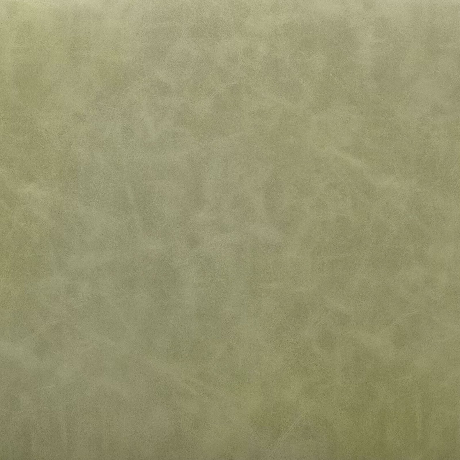 Charon Dining Chair (Set of 2) Green - Image 7